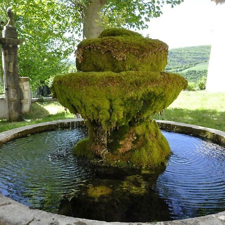 Chateau De Beaucouse Thoard Eksteriør bilde